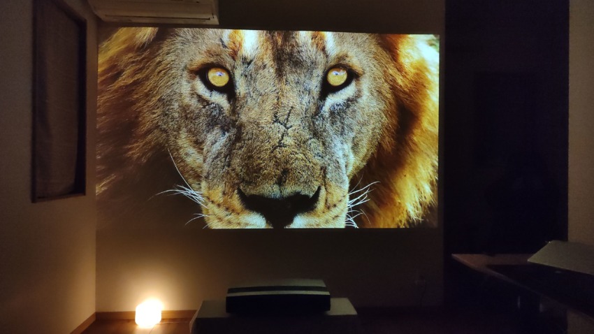 XGIMI-AURA-review 4K Lion